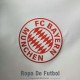 Bayern Munich Chaqueta Rompevientos Blanco I 2023/2024