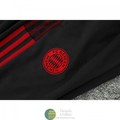 Bayern Munich Sudadera De Entrenamiento Gris II + Pantalon Gris 2021/2022