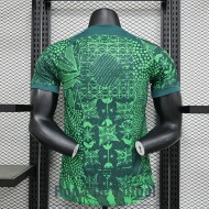 Camiseta Authentic Nigeria Primera Equipacion 2023/2024