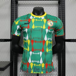 Camiseta Authentic Senegal Segunda Equipacion 2023/2024