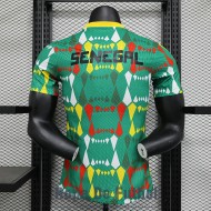 Camiseta Authentic Senegal Segunda Equipacion 2023/2024