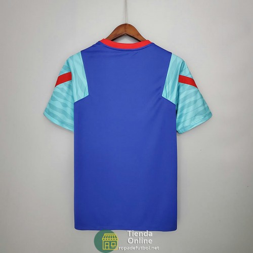 Camiseta Barcelona Training Azul Rojo Verde 2021/2022