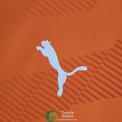 Camiseta Palmeiras Portero Naranja 2022/2023