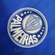 Camiseta Palmeiras Special Edition Azul I 2023/2024