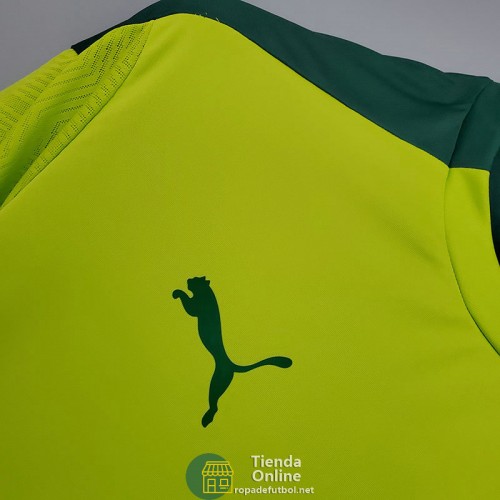 Camiseta Palmeiras Training Verde 2021/2022